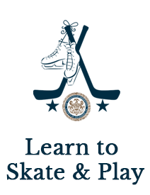Learn to Skate & Learn to Play Web page